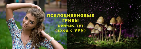 гашиш Медногорск